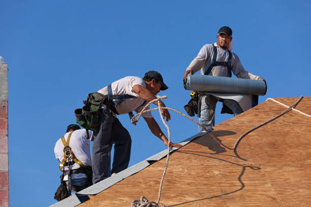 Best Roof Waterproofing Services  in Nroe City, MO