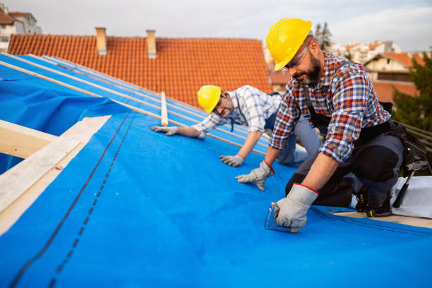 Best Roof Gutter Cleaning  in Nroe City, MO