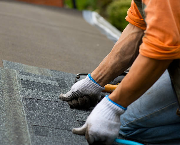 Best Gutter Installation and Roofing  in Nroe City, MO
