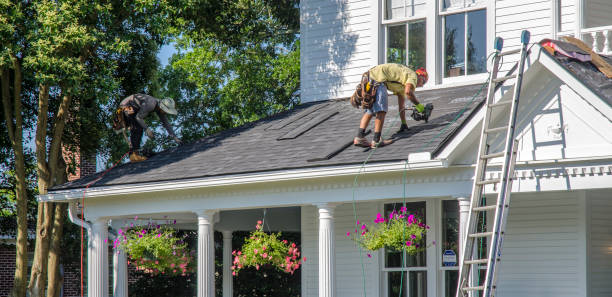 Best Roof Maintenance Services  in Nroe City, MO
